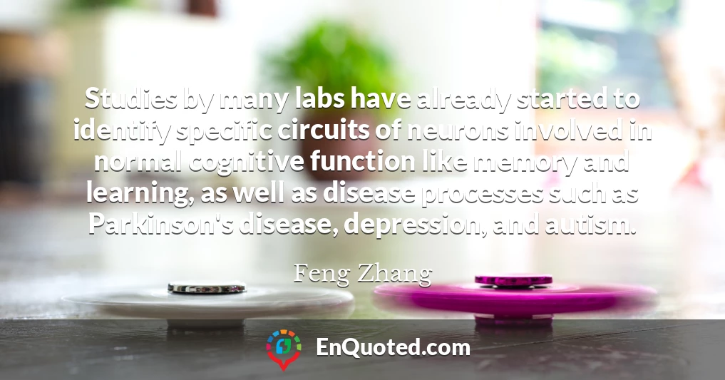 Studies by many labs have already started to identify specific circuits of neurons involved in normal cognitive function like memory and learning, as well as disease processes such as Parkinson's disease, depression, and autism.