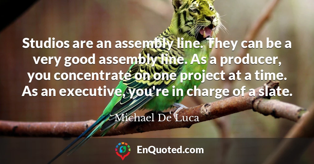Studios are an assembly line. They can be a very good assembly line. As a producer, you concentrate on one project at a time. As an executive, you're in charge of a slate.