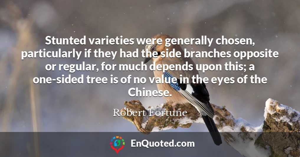 Stunted varieties were generally chosen, particularly if they had the side branches opposite or regular, for much depends upon this; a one-sided tree is of no value in the eyes of the Chinese.