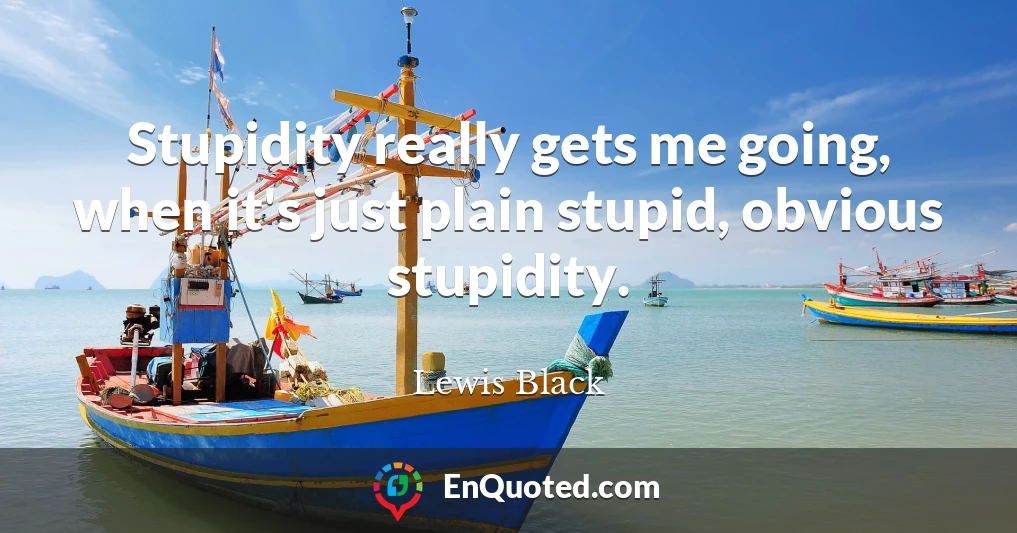 Stupidity really gets me going, when it's just plain stupid, obvious stupidity.