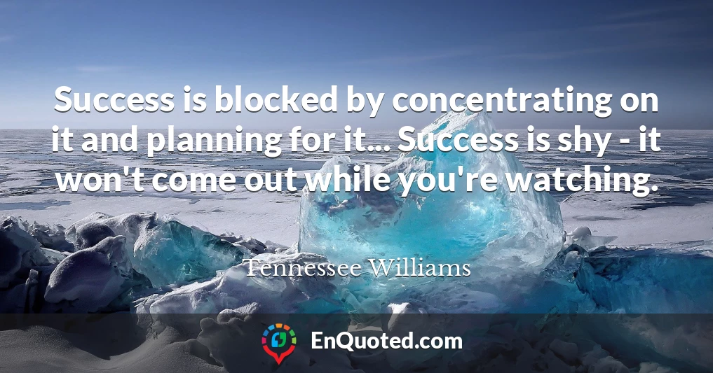 Success is blocked by concentrating on it and planning for it... Success is shy - it won't come out while you're watching.