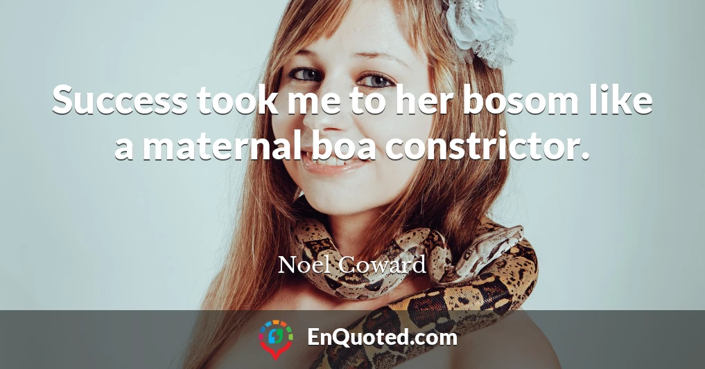 Success took me to her bosom like a maternal boa constrictor.