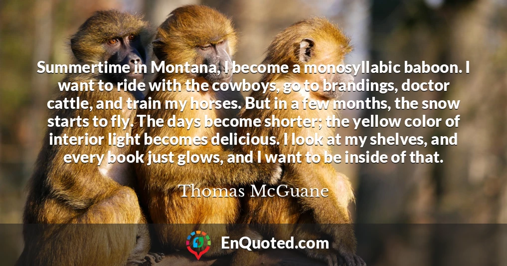 Summertime in Montana, I become a monosyllabic baboon. I want to ride with the cowboys, go to brandings, doctor cattle, and train my horses. But in a few months, the snow starts to fly. The days become shorter; the yellow color of interior light becomes delicious. I look at my shelves, and every book just glows, and I want to be inside of that.