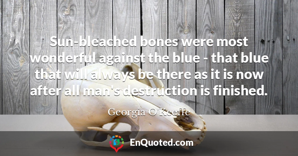 Sun-bleached bones were most wonderful against the blue - that blue that will always be there as it is now after all man's destruction is finished.