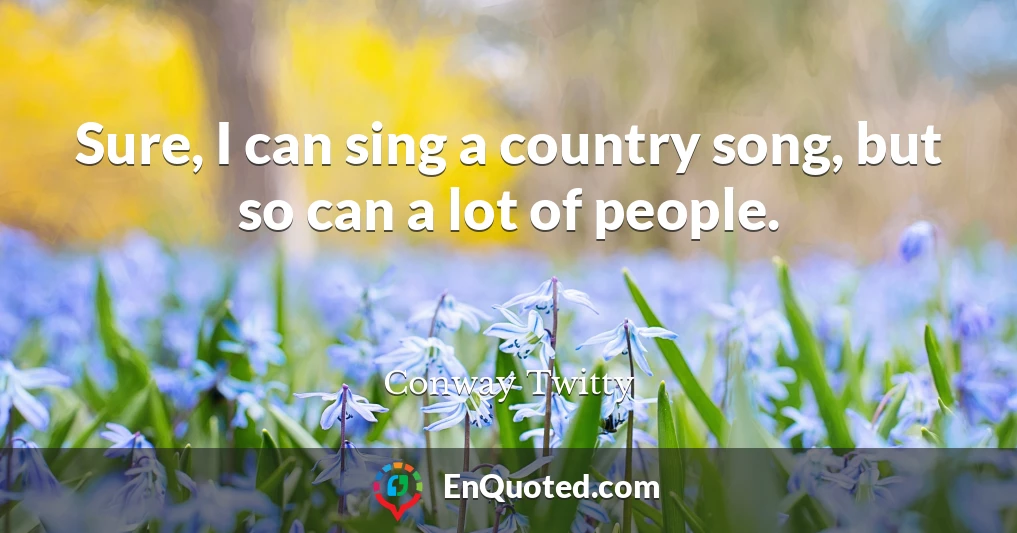 Sure, I can sing a country song, but so can a lot of people.