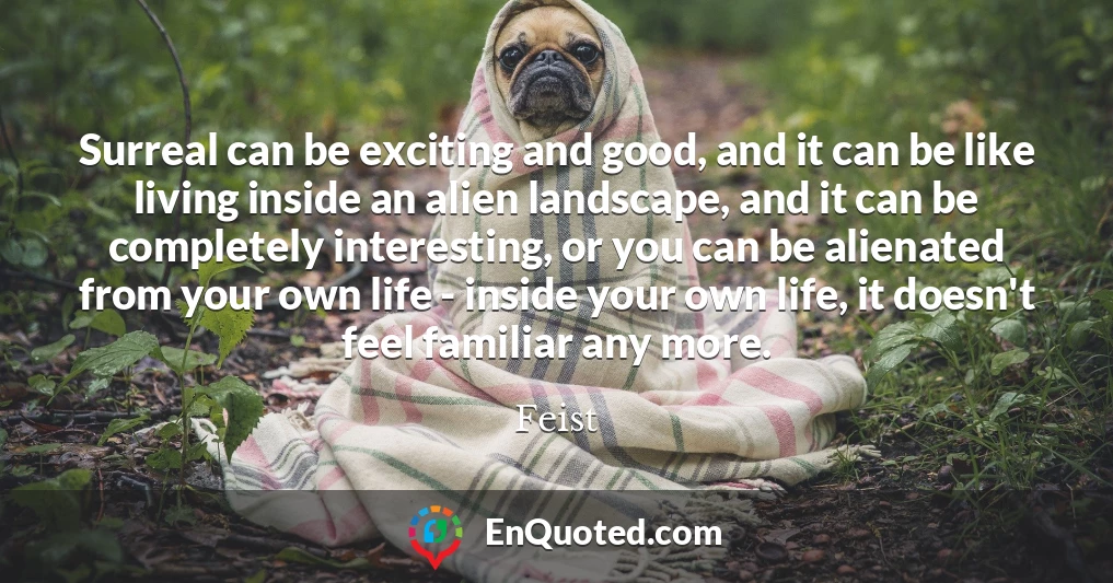 Surreal can be exciting and good, and it can be like living inside an alien landscape, and it can be completely interesting, or you can be alienated from your own life - inside your own life, it doesn't feel familiar any more.