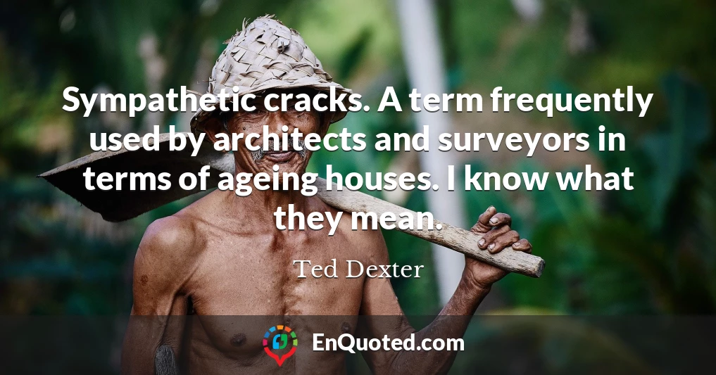 Sympathetic cracks. A term frequently used by architects and surveyors in terms of ageing houses. I know what they mean.