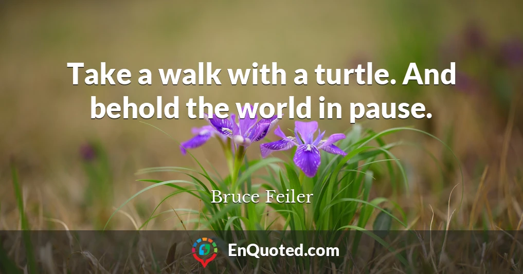 Take a walk with a turtle. And behold the world in pause.