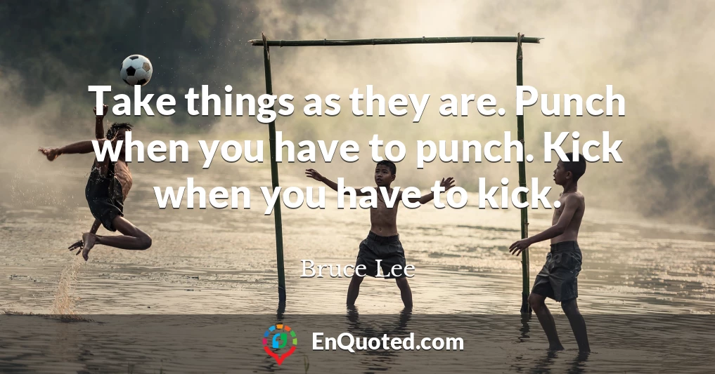 Take things as they are. Punch when you have to punch. Kick when you have to kick.