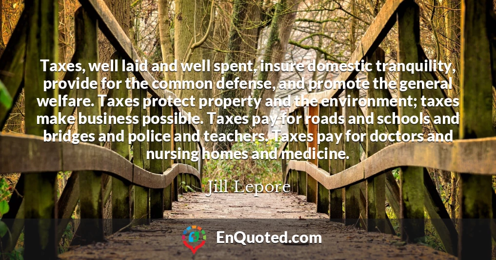 Taxes, well laid and well spent, insure domestic tranquility, provide for the common defense, and promote the general welfare. Taxes protect property and the environment; taxes make business possible. Taxes pay for roads and schools and bridges and police and teachers. Taxes pay for doctors and nursing homes and medicine.