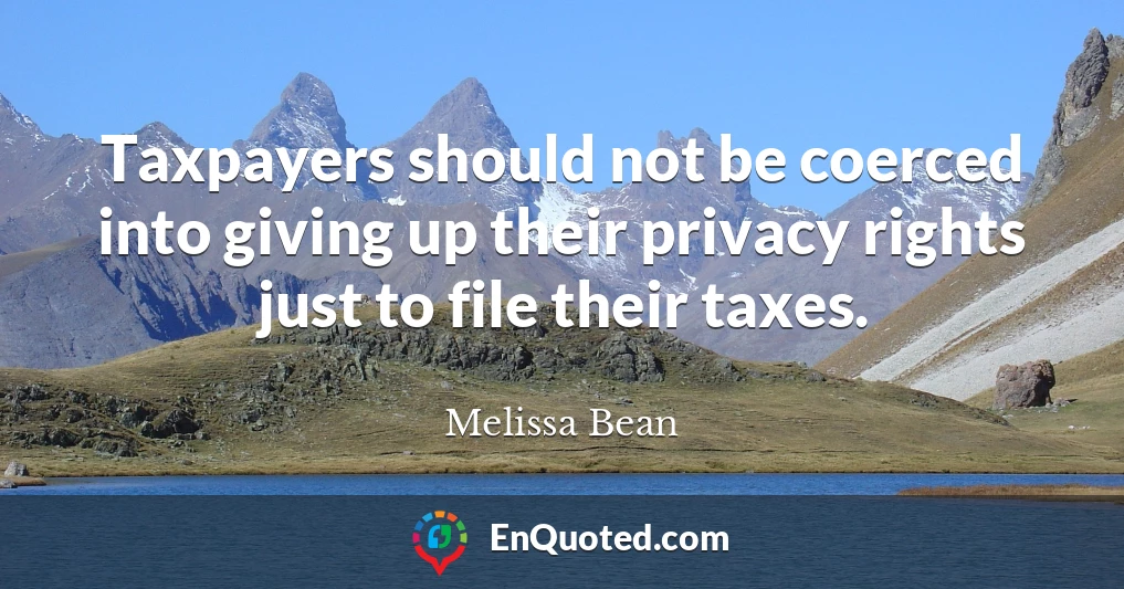 Taxpayers should not be coerced into giving up their privacy rights just to file their taxes.