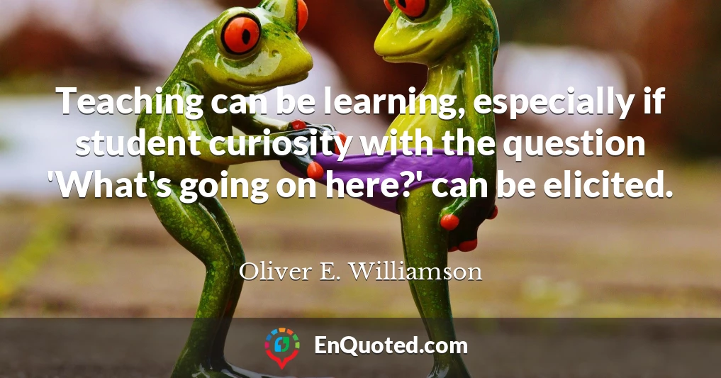Teaching can be learning, especially if student curiosity with the question 'What's going on here?' can be elicited.