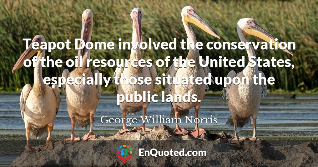 Teapot Dome involved the conservation of the oil resources of the United States, especially those situated upon the public lands.