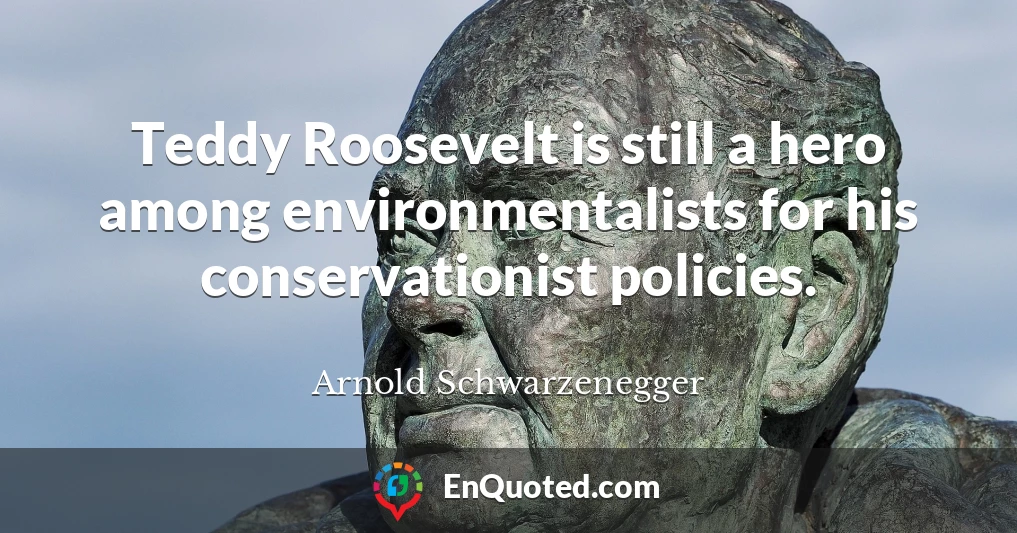 Teddy Roosevelt is still a hero among environmentalists for his conservationist policies.