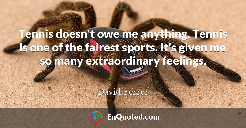Tennis doesn't owe me anything. Tennis is one of the fairest sports. It's given me so many extraordinary feelings.