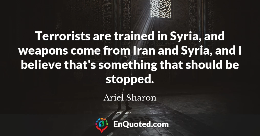 Terrorists are trained in Syria, and weapons come from Iran and Syria, and I believe that's something that should be stopped.