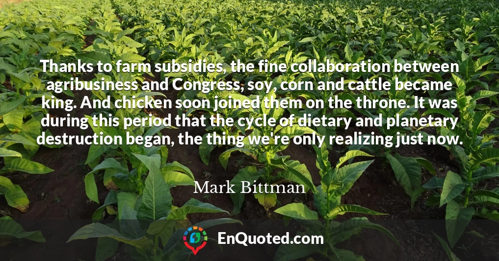 Thanks to farm subsidies, the fine collaboration between agribusiness and Congress, soy, corn and cattle became king. And chicken soon joined them on the throne. It was during this period that the cycle of dietary and planetary destruction began, the thing we're only realizing just now.