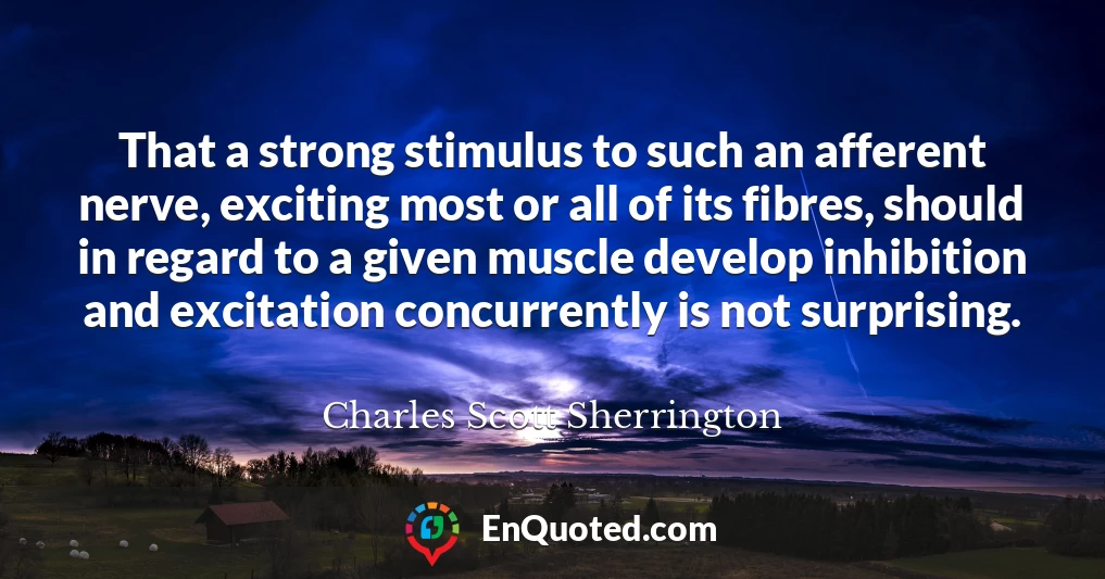That a strong stimulus to such an afferent nerve, exciting most or all of its fibres, should in regard to a given muscle develop inhibition and excitation concurrently is not surprising.