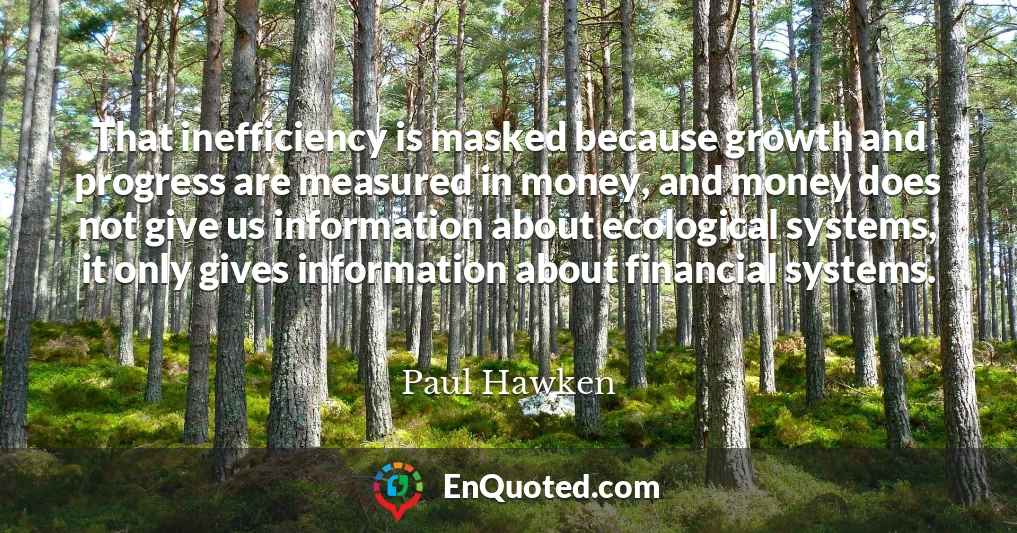 That inefficiency is masked because growth and progress are measured in money, and money does not give us information about ecological systems, it only gives information about financial systems.