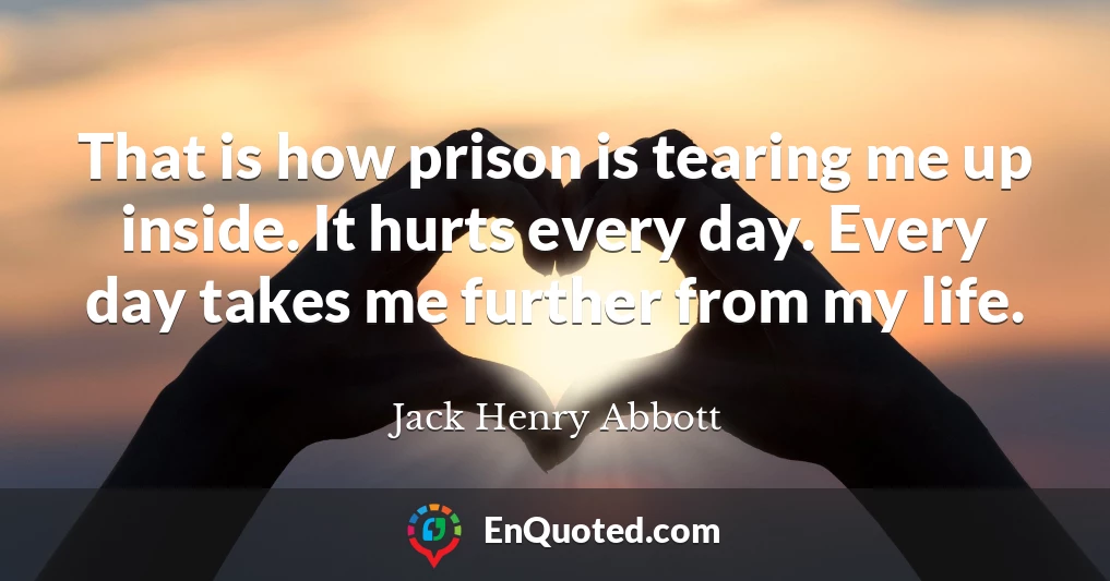 That is how prison is tearing me up inside. It hurts every day. Every day takes me further from my life.