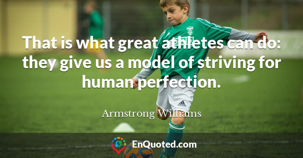 That is what great athletes can do: they give us a model of striving for human perfection.