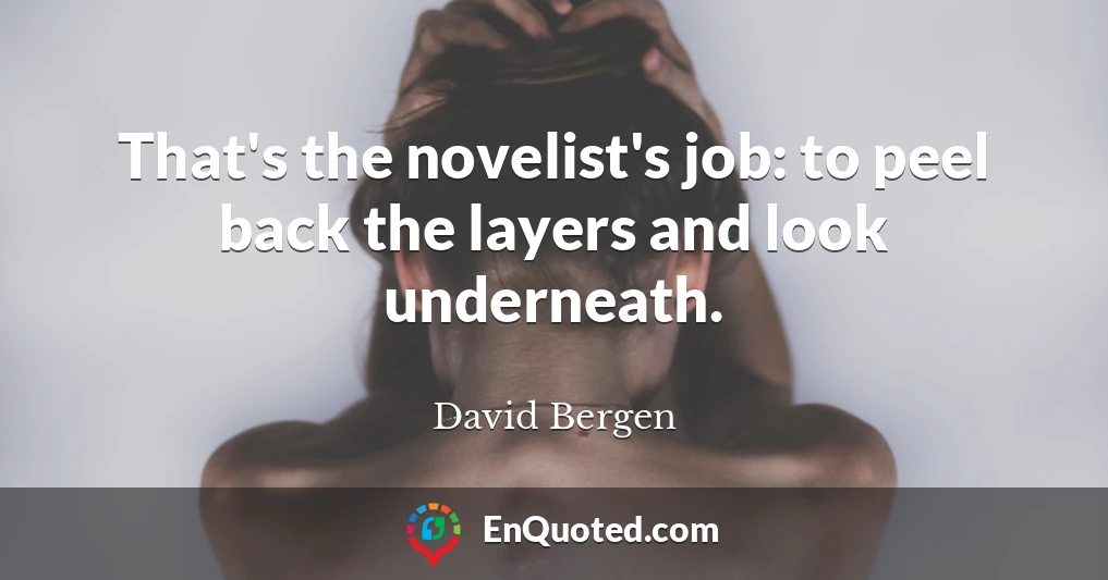 That's the novelist's job: to peel back the layers and look underneath.