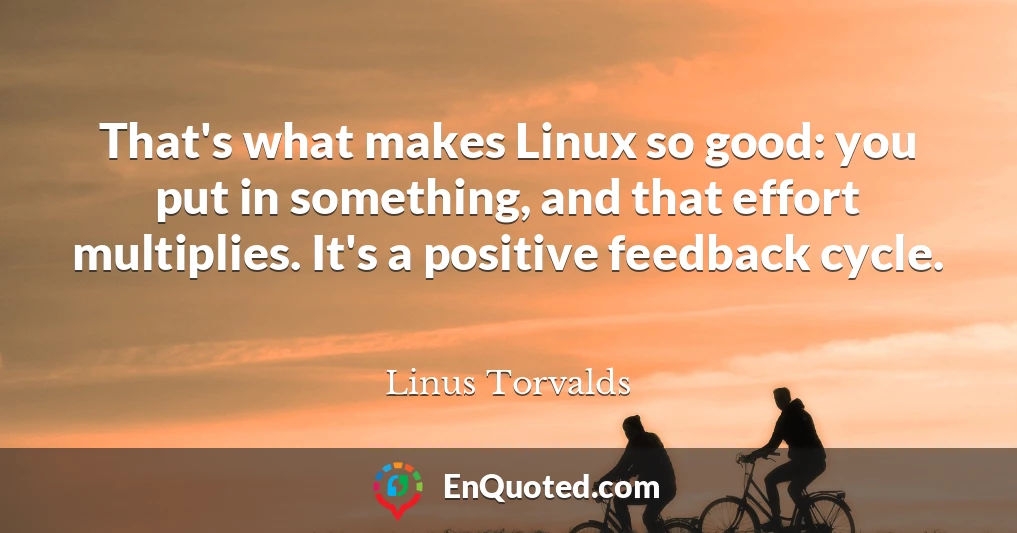That's what makes Linux so good: you put in something, and that effort multiplies. It's a positive feedback cycle.