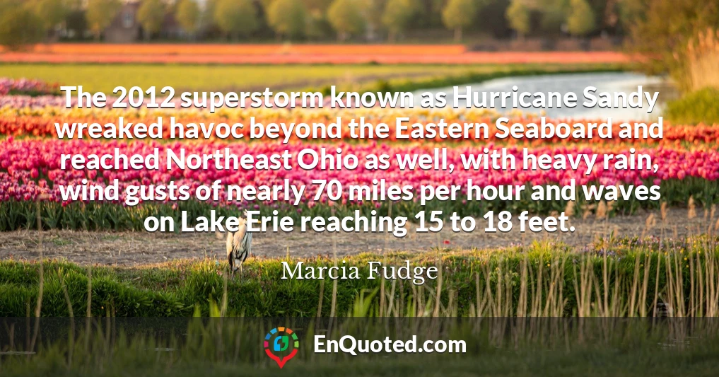 The 2012 superstorm known as Hurricane Sandy wreaked havoc beyond the Eastern Seaboard and reached Northeast Ohio as well, with heavy rain, wind gusts of nearly 70 miles per hour and waves on Lake Erie reaching 15 to 18 feet.