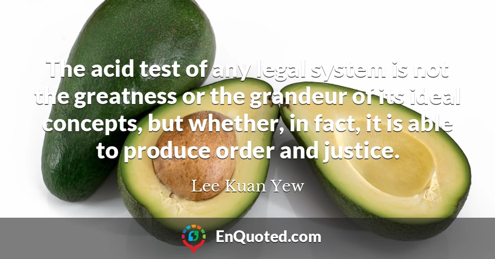 The acid test of any legal system is not the greatness or the grandeur of its ideal concepts, but whether, in fact, it is able to produce order and justice.