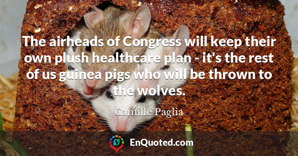 The airheads of Congress will keep their own plush healthcare plan - it's the rest of us guinea pigs who will be thrown to the wolves.