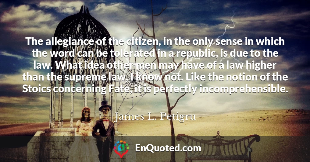 The allegiance of the citizen, in the only sense in which the word can be tolerated in a republic, is due to the law. What idea other men may have of a law higher than the supreme law, I know not. Like the notion of the Stoics concerning Fate, it is perfectly incomprehensible.