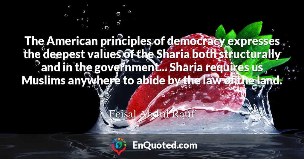 The American principles of democracy expresses the deepest values of the Sharia both structurally and in the government... Sharia requires us Muslims anywhere to abide by the law of the land.