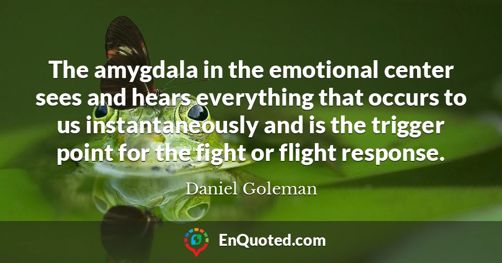 The amygdala in the emotional center sees and hears everything that occurs to us instantaneously and is the trigger point for the fight or flight response.