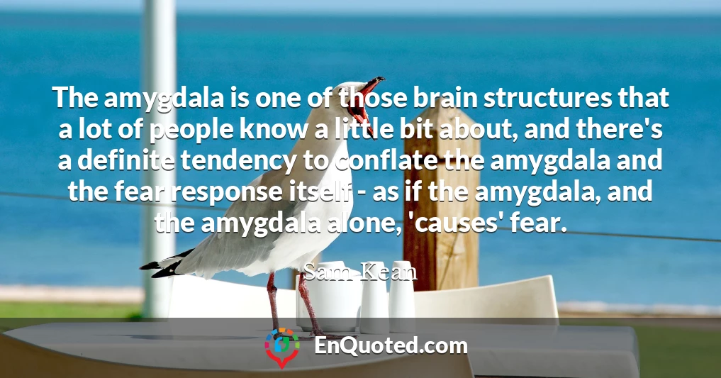 The amygdala is one of those brain structures that a lot of people know a little bit about, and there's a definite tendency to conflate the amygdala and the fear response itself - as if the amygdala, and the amygdala alone, 'causes' fear.