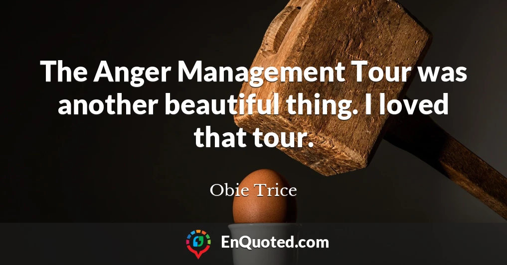 The Anger Management Tour was another beautiful thing. I loved that tour.