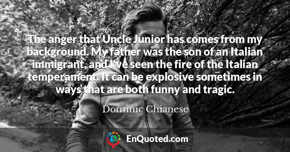 The anger that Uncle Junior has comes from my background. My father was the son of an Italian immigrant, and I've seen the fire of the Italian temperament. It can be explosive sometimes in ways that are both funny and tragic.