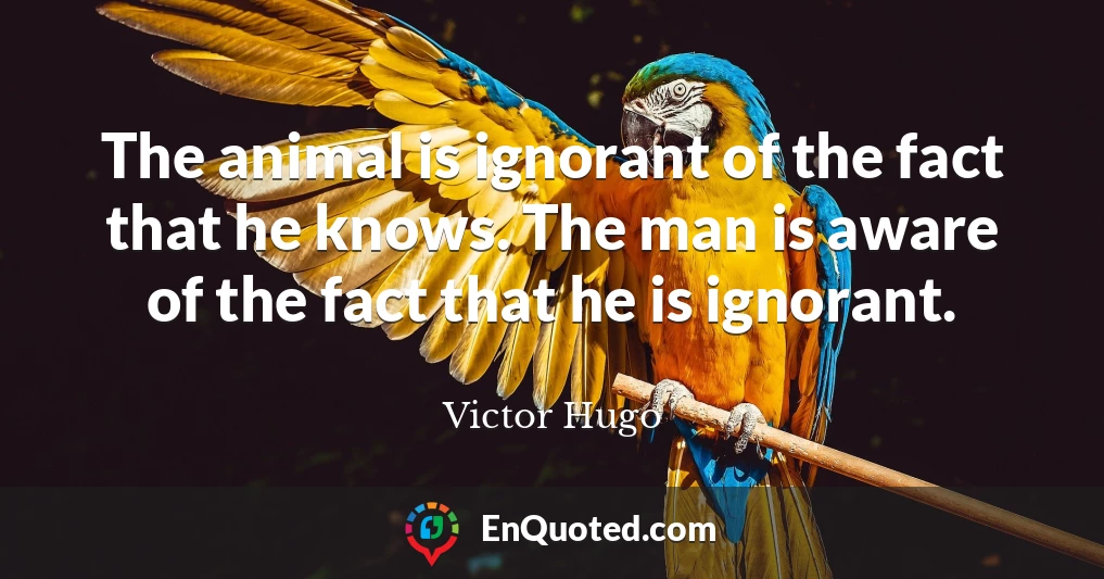 The animal is ignorant of the fact that he knows. The man is aware of the fact that he is ignorant.
