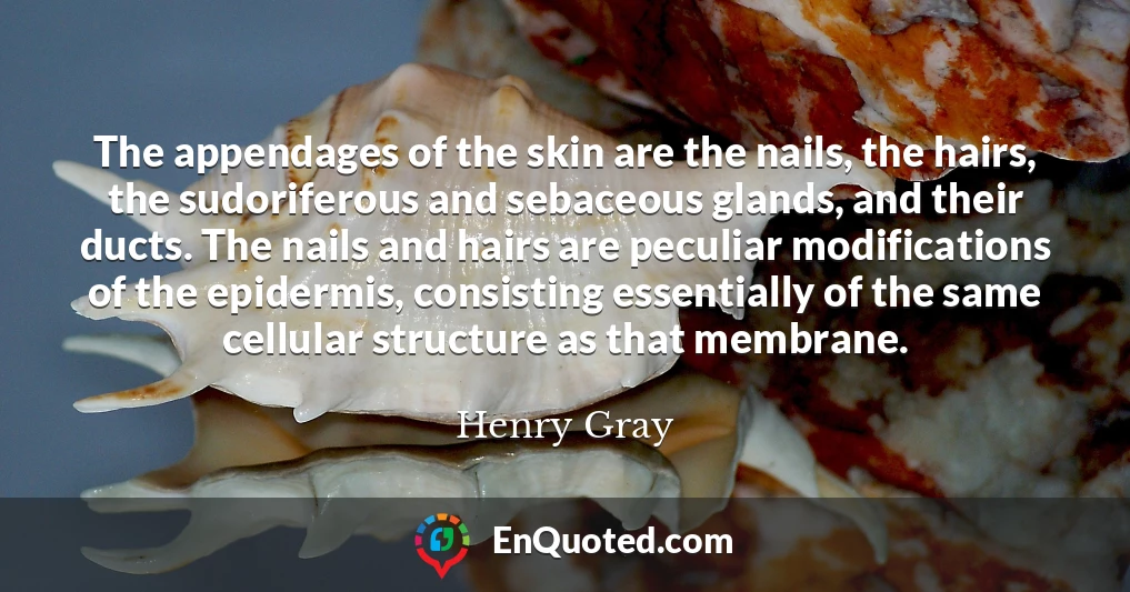 The appendages of the skin are the nails, the hairs, the sudoriferous and sebaceous glands, and their ducts. The nails and hairs are peculiar modifications of the epidermis, consisting essentially of the same cellular structure as that membrane.