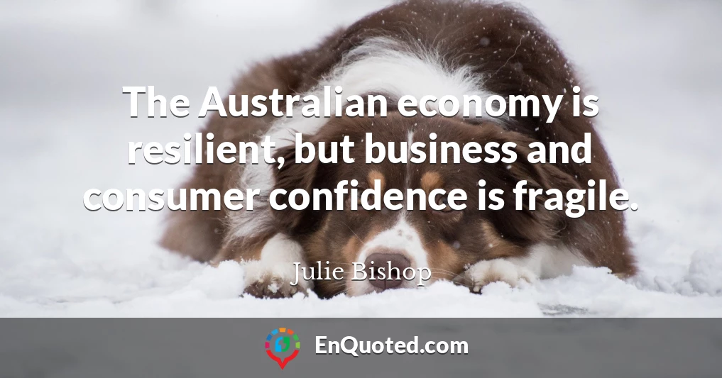 The Australian economy is resilient, but business and consumer confidence is fragile.