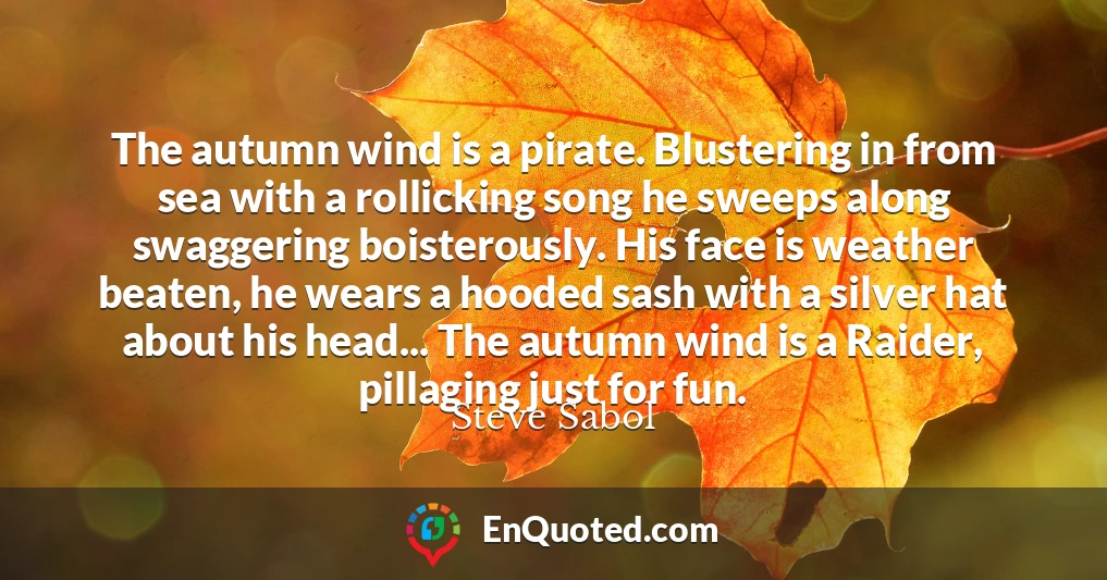 The autumn wind is a pirate. Blustering in from sea with a rollicking song he sweeps along swaggering boisterously. His face is weather beaten, he wears a hooded sash with a silver hat about his head... The autumn wind is a Raider, pillaging just for fun.