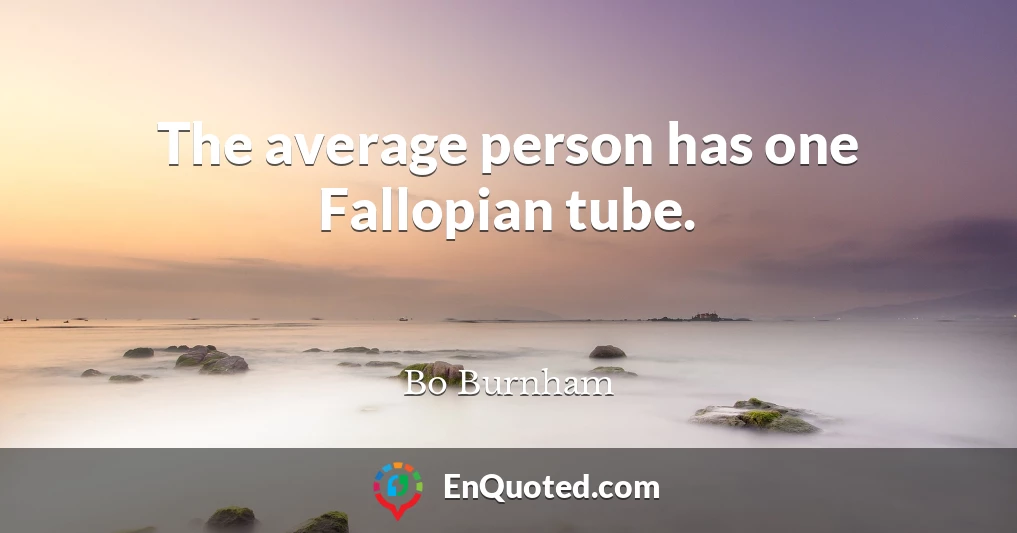 The average person has one Fallopian tube.
