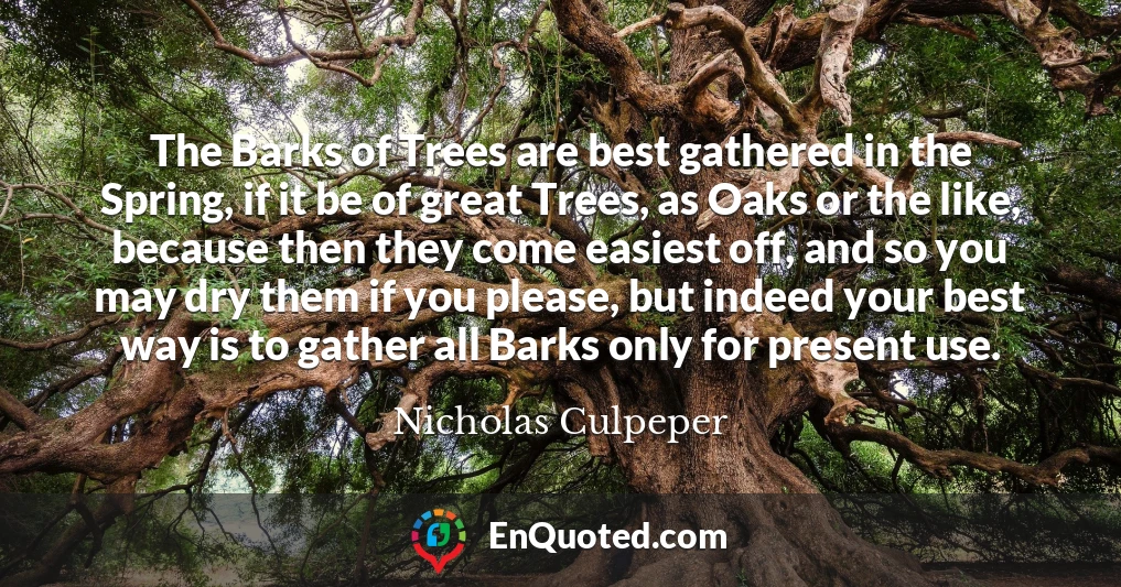 The Barks of Trees are best gathered in the Spring, if it be of great Trees, as Oaks or the like, because then they come easiest off, and so you may dry them if you please, but indeed your best way is to gather all Barks only for present use.