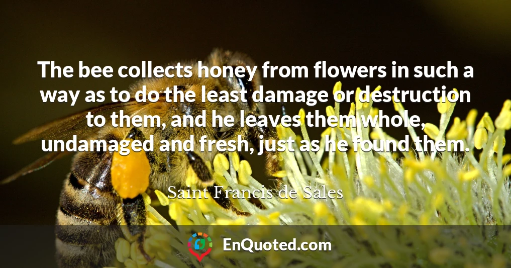 The bee collects honey from flowers in such a way as to do the least damage or destruction to them, and he leaves them whole, undamaged and fresh, just as he found them.