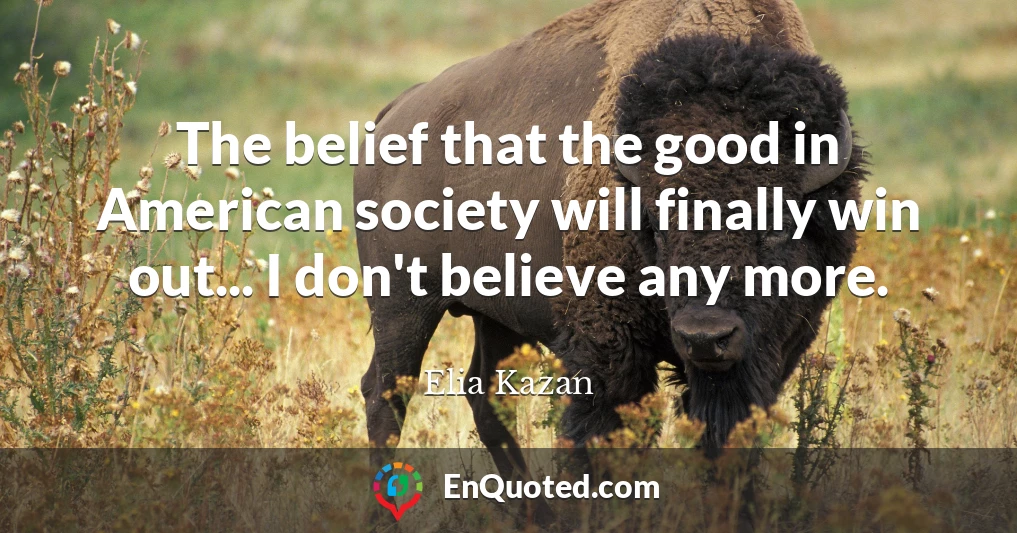 The belief that the good in American society will finally win out... I don't believe any more.