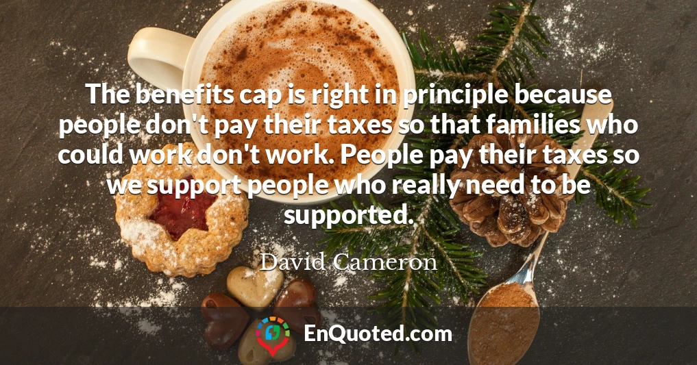 The benefits cap is right in principle because people don't pay their taxes so that families who could work don't work. People pay their taxes so we support people who really need to be supported.