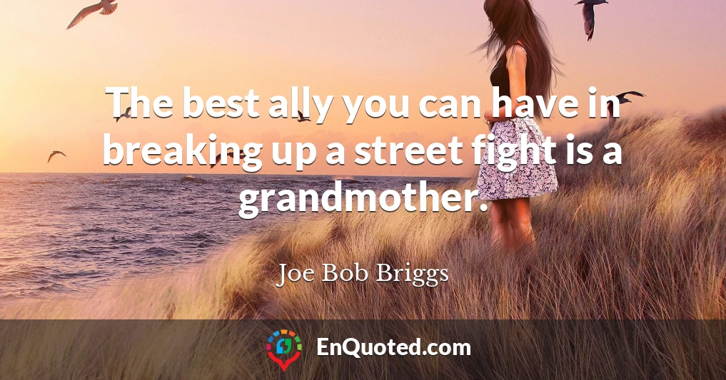 The best ally you can have in breaking up a street fight is a grandmother.