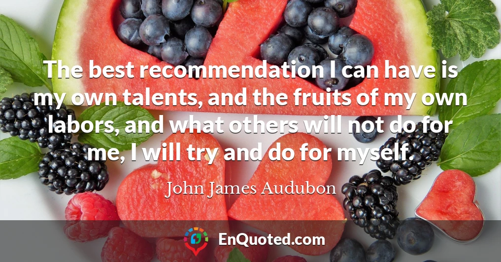 The best recommendation I can have is my own talents, and the fruits of my own labors, and what others will not do for me, I will try and do for myself.