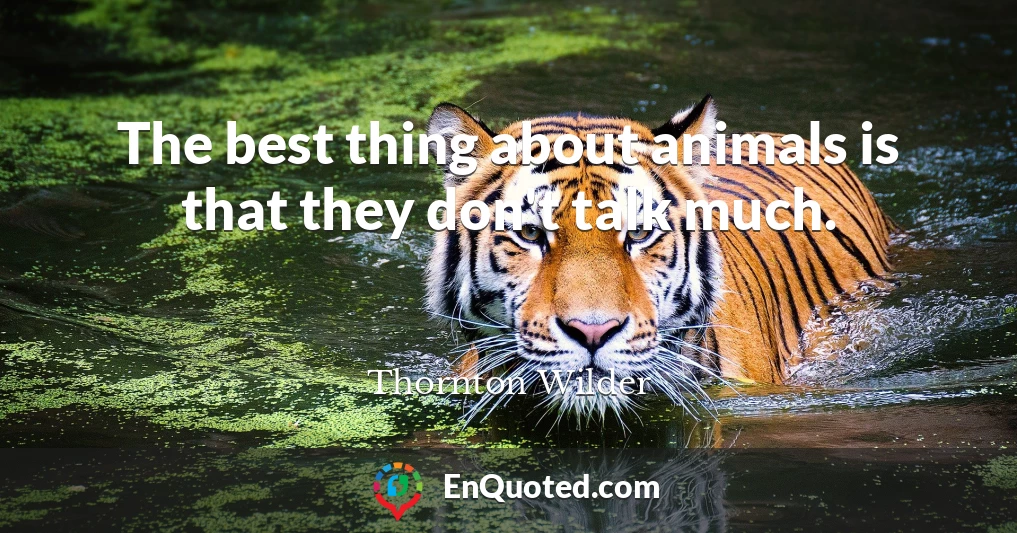 The best thing about animals is that they don't talk much.