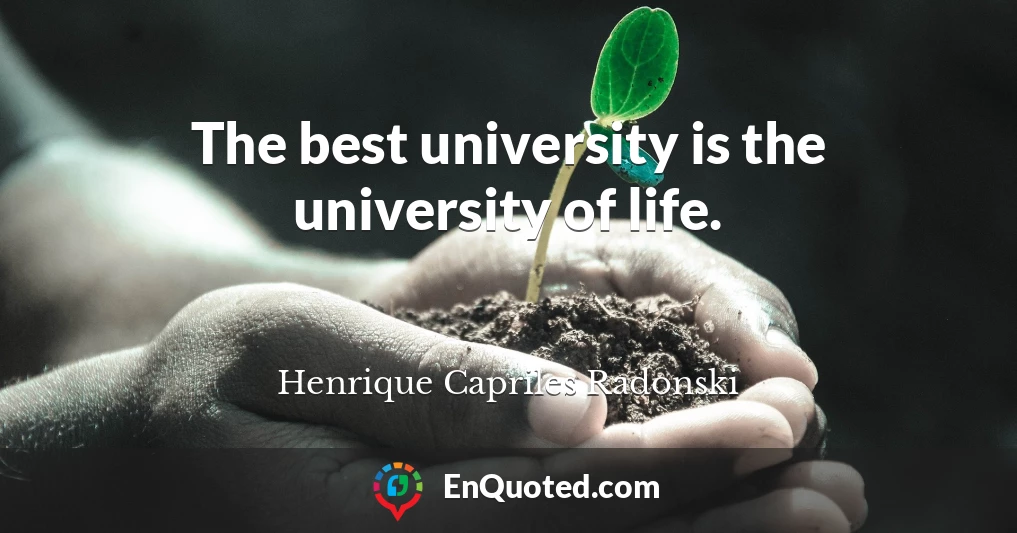 The best university is the university of life.