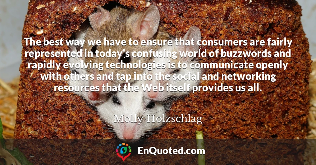 The best way we have to ensure that consumers are fairly represented in today's confusing world of buzzwords and rapidly evolving technologies is to communicate openly with others and tap into the social and networking resources that the Web itself provides us all.